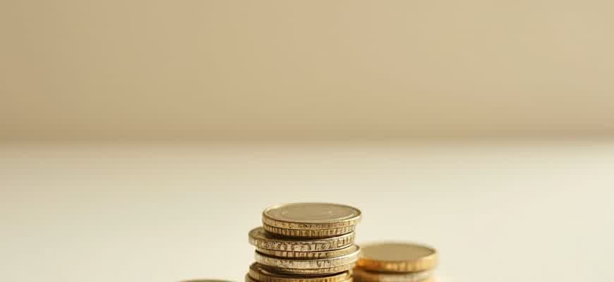 0 Income Statement